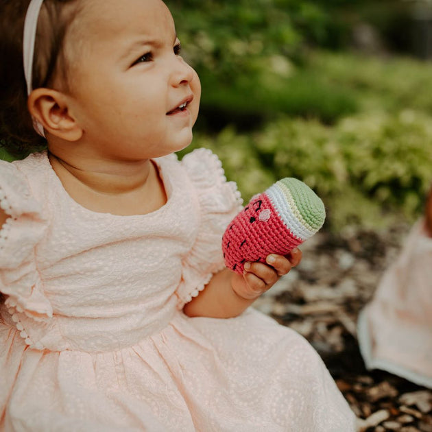 Pebble Friendly Plush Watermelon Rattle Toy Zee Bee Market LLC