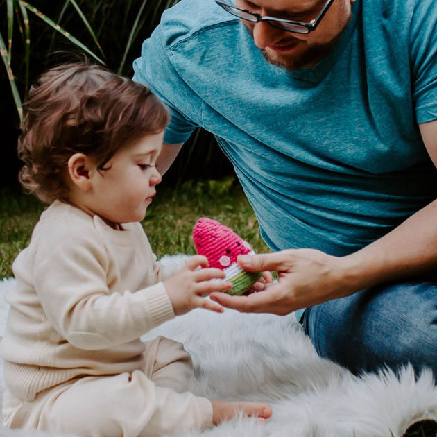 Pebble Friendly Plush Watermelon Rattle Toy Zee Bee Market LLC