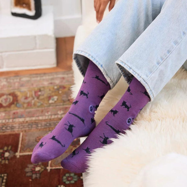 Conscious Step Socks That Save Cats lifestyle