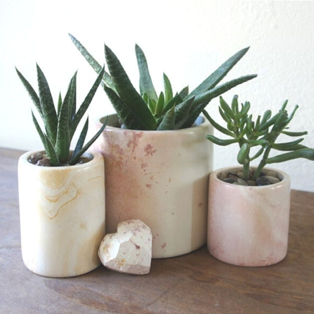 Soapstone Cylinder Planter Soapstone Cylinder Planter