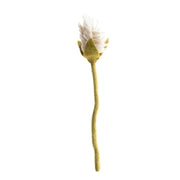 Felt Alpinia Flower Stem - White