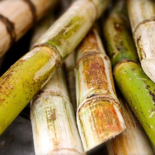 Organic Cane Sugar 17.6oz raw cane