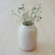 Natural Soapstone Jug Vase - Medium styled with dried flowers