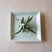 Square Soapstone Dish - Natural styled