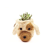 Coconut Coir Small Succulent Planter - Dog front with succulent