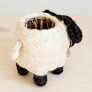 Coconut Coir Animal Succulent Planter - Baby Sheep back view with interior detail