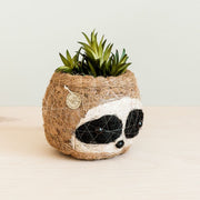 Coconut Coir Small Animal Planter - Sloth side view with succulent
