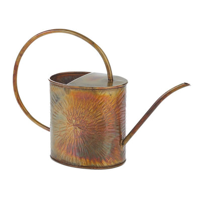 Rustic Eco-Iron Outdoor Watering Can