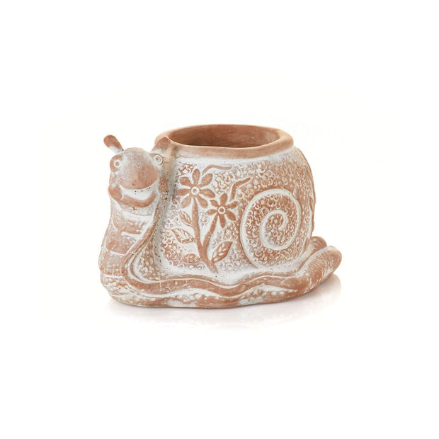 What's the Hurry Snail Terracotta Planter