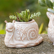 Terracotta Planter - Snail lifestyle shown with succulents