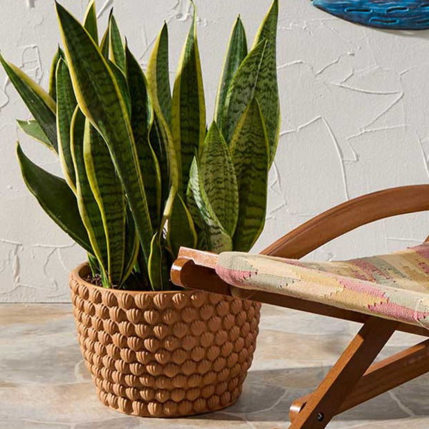 Seashell Terracotta Round Planter with snake plant next to a lawn chair