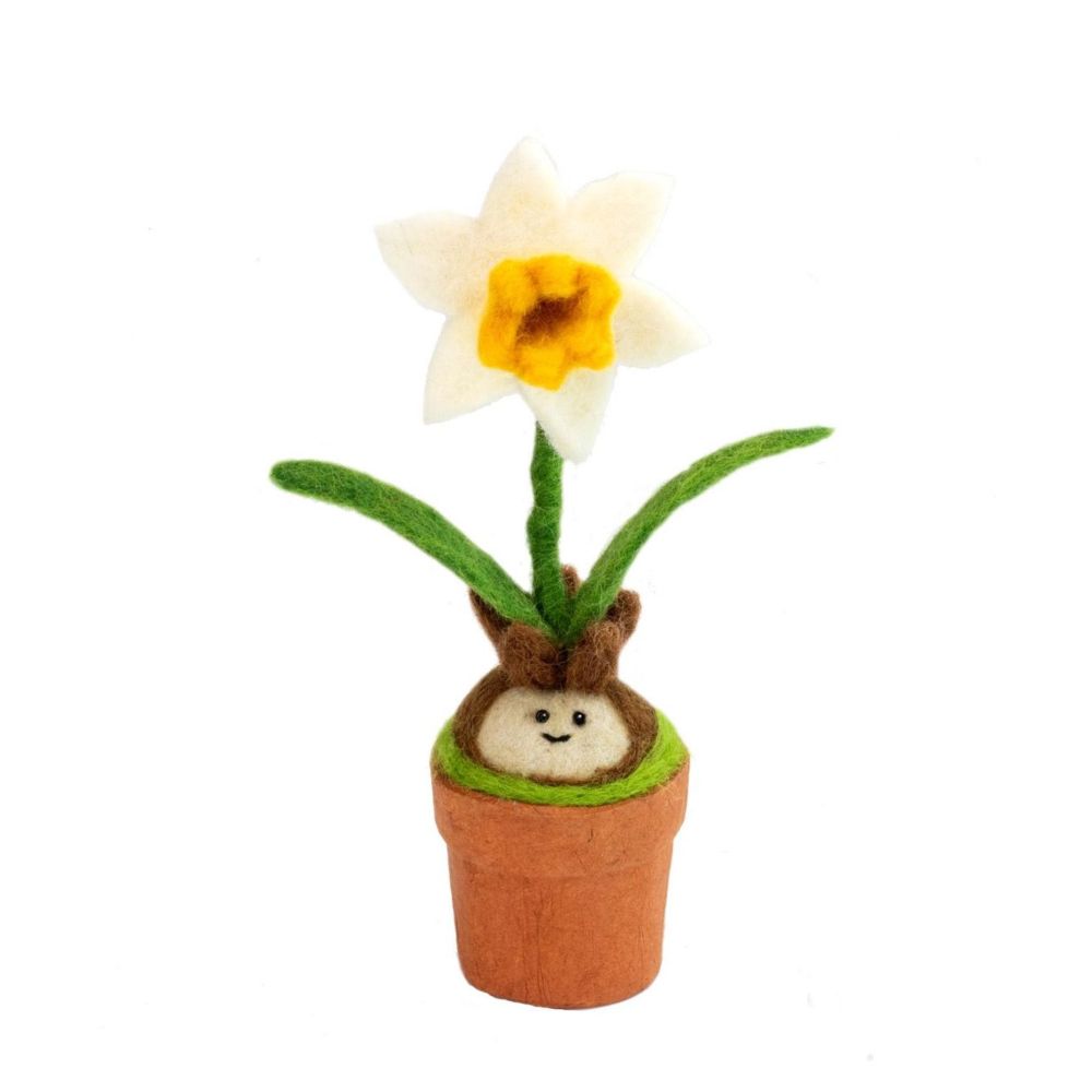 daffodil potted plant Potted Plant