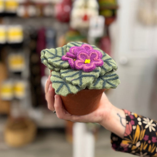 Person holding a Potted Plant Decor featuring a Felted African Violet in Bloom