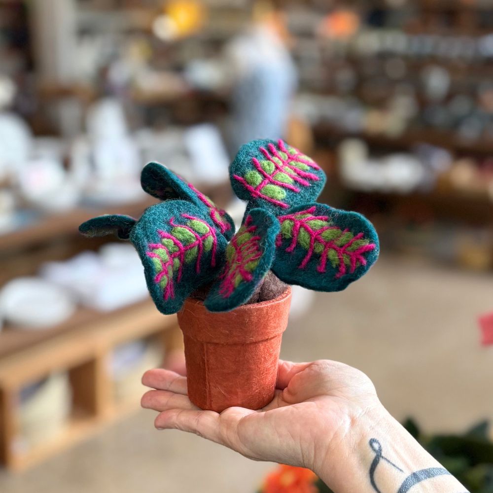 buy prayer plant seeds Prayer Plant Felt Potted Plant