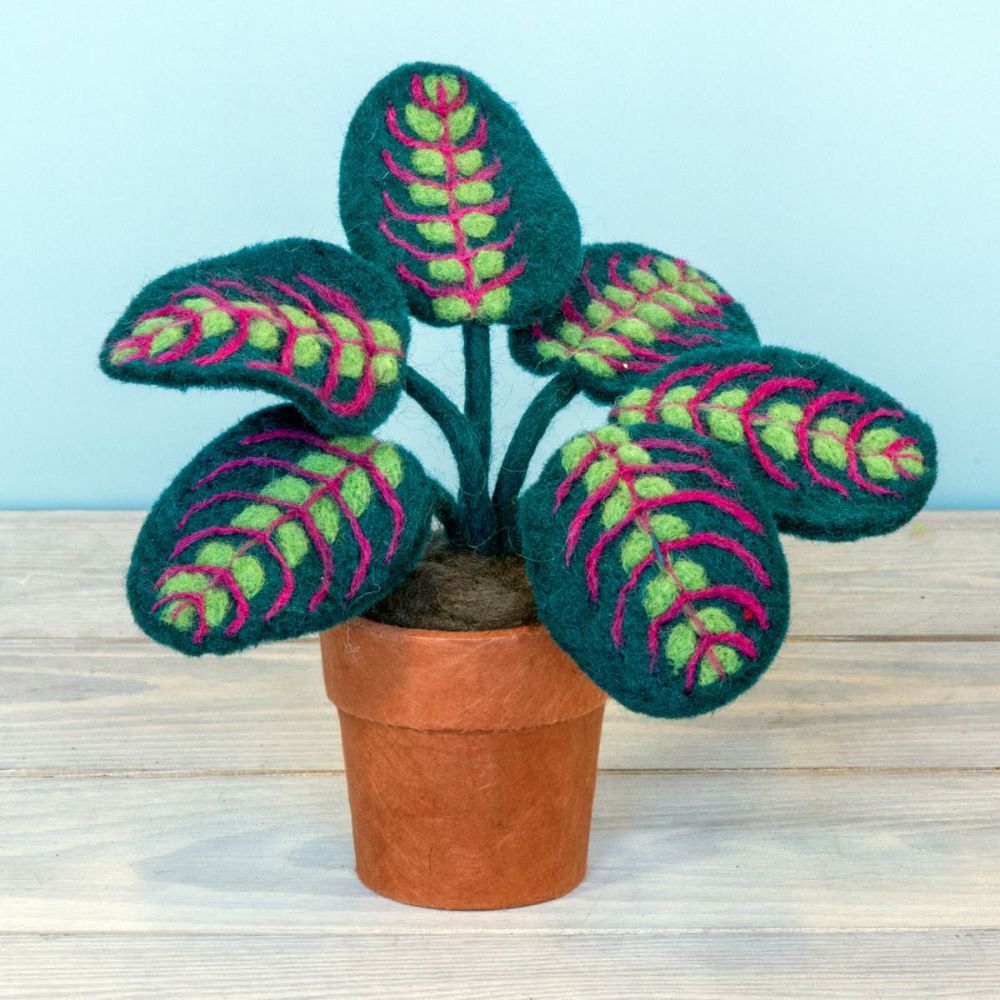 Prayer Plant Felt Potted Plant