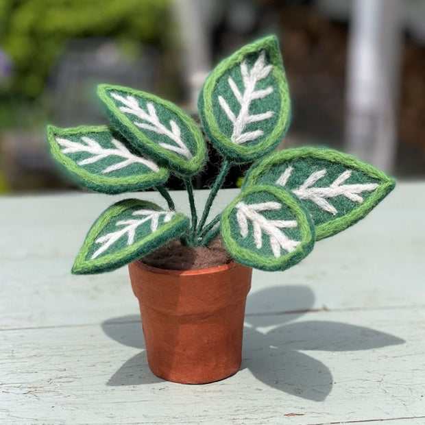zebra plant pot Zebra Plant Potted Felt Plant