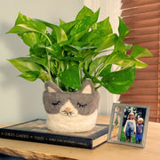 Felt Planter - Kitty Cat lifestyle