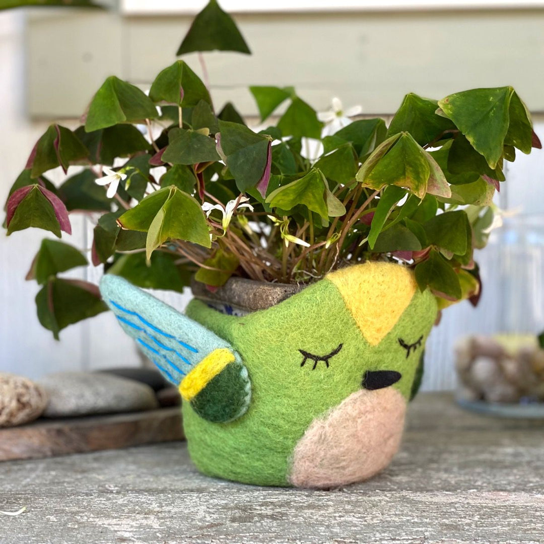Felt Planter