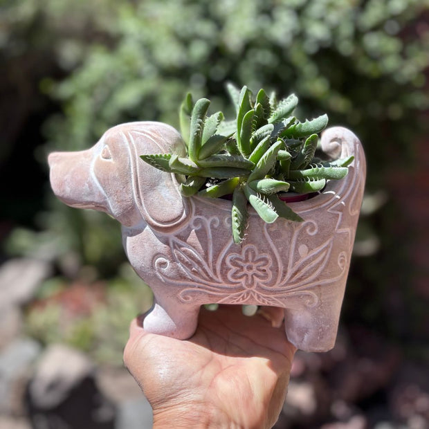 dog shaped plant pot Terracotta Planter
