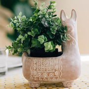 Llama Terracotta Planter up close with leafy plant
