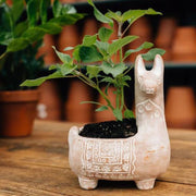 Llama Terracotta Planter lifestyle with leafy plant
