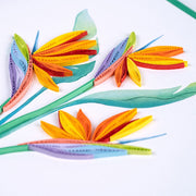 Quilled Bird of Paradise Greeting Card detail