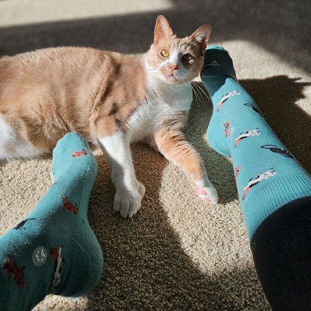 Conscious Step socks that save cats featuring frisky felines on model
