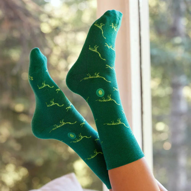 Conscious Step Socks That Give Books - Green Dino Bones lifestyle