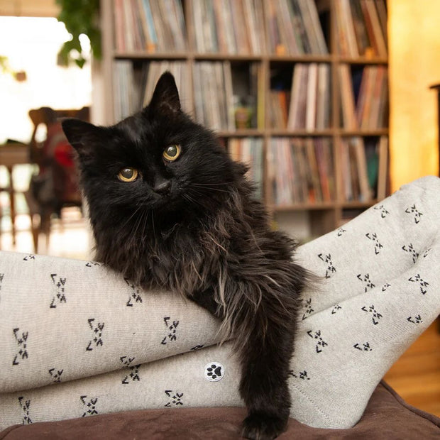 Conscious Step Socks That Save Clever Cats lifestyle