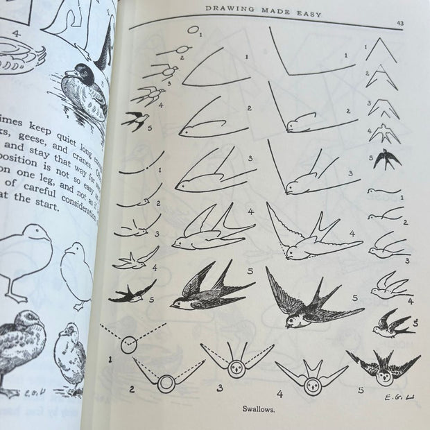 Drawing Made Easy - A Helpful Book for Young Artists interior pages