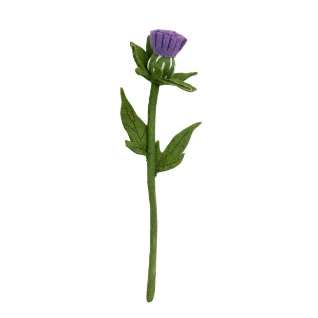 Felt Thistle Flower Stem
