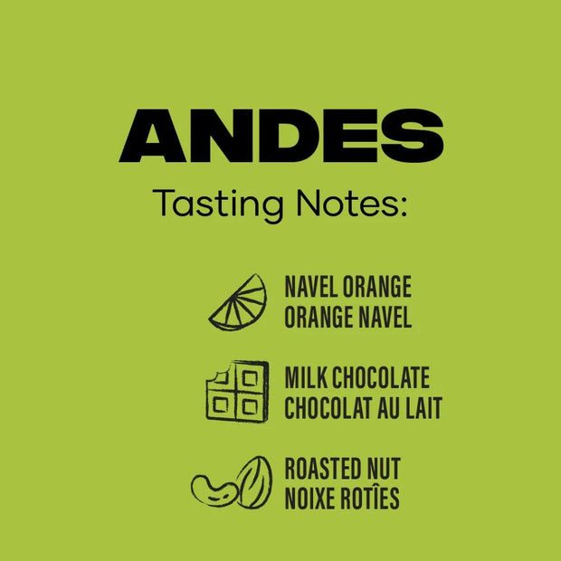 Level Ground Andes Mountains Organic Medium & Rich Premium Coffee Whole Bean tasting notes