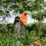Zee Bee Market supports nonprofit Trees for the Future through the sale of Conscious Step socks