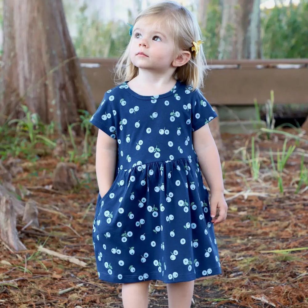 organic cotton toddler dress Little Planet Toddler Girl Smocked Dress Made with Organic Cotton in Spring Bloom Print 2T Spring Bloom