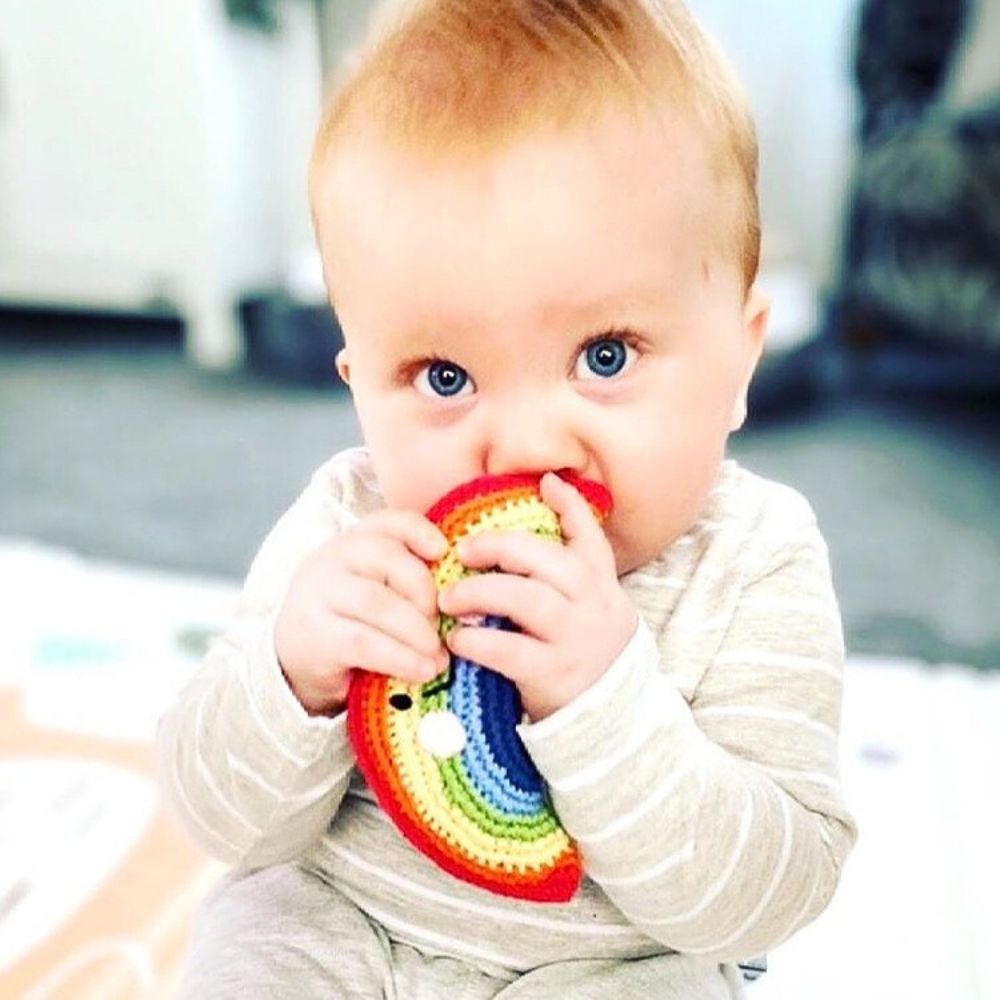 Pebble Rattles Pebble Friendly Rainbow Rattle – Zee Bee Market LLC