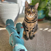 Zee Bee Market supports nonprofit Best friends animal society through the sale of Conscious Step socks