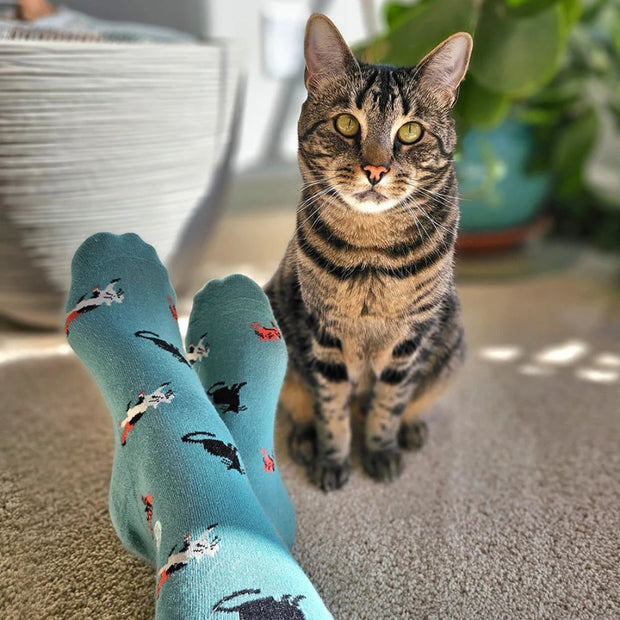 Zee Bee Market supports nonprofit Best friends animal society through the sale of Conscious Step socks
