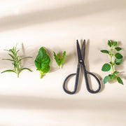 Small Handmade Vintage Craft or Gardening Scissors styled with herbs