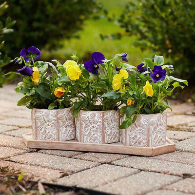 Terracotta Planter Set - Hexagonal Basanta Meadow lifestyle