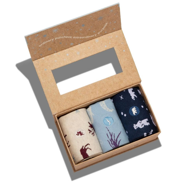 Gift Box - Socks That Protect The Arctic