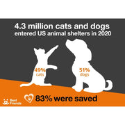 Conscious Step Socks That Save Cats nonprofit partner