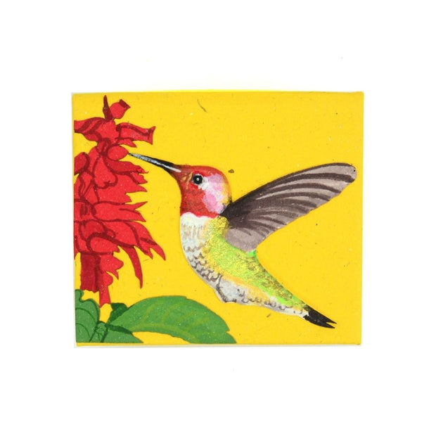 Mr. Ellie Pooh Blank Note Box Hummingbird flat