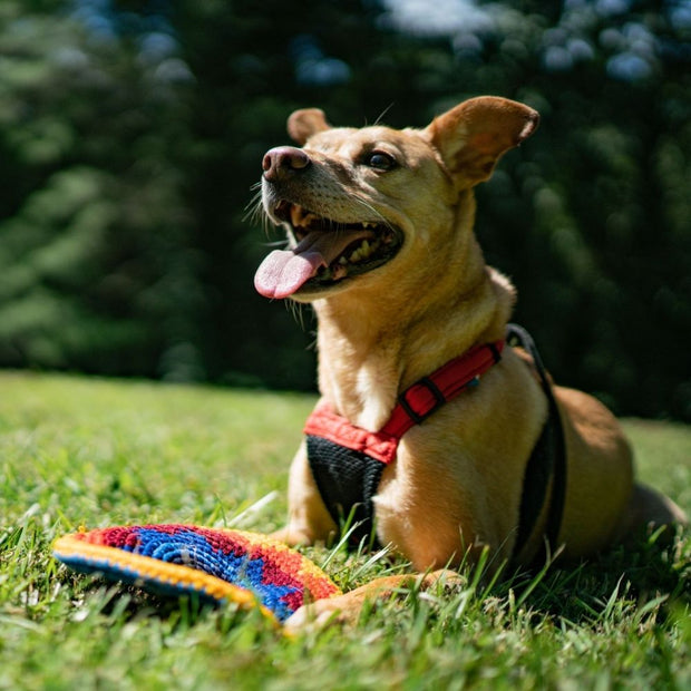 El Grande Hand-Crocheted Frisbee Disc - Savanna dog friendly
