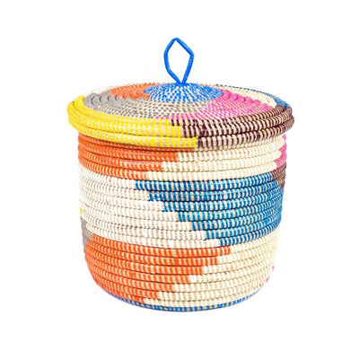 Multi Color Lidded Storage Basket 