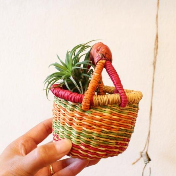 Tiny Miniature Bolga Market Basket with little plant